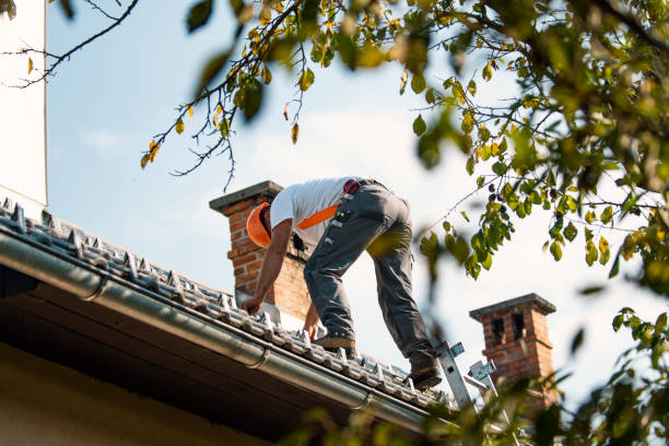 Best Roof Restoration Services  in Logan, UT