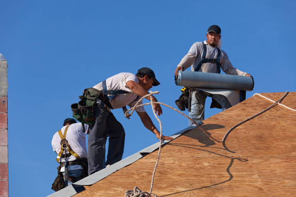 Best Flat Roof Repair Services  in Logan, UT