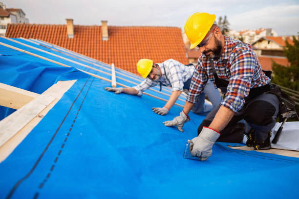 Best Storm Damage Roof Repair  in Logan, UT